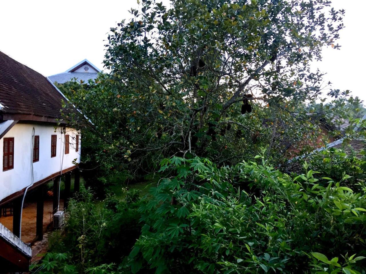 Soutikone1 Guesthouse Luang Prabang Zewnętrze zdjęcie